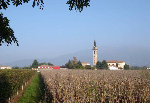 The NSC in the landscape of the Pedemontana (Photo by Alessandra Chemollo)