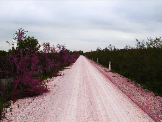 The street which links the TMM and the WFP (Photo by Paolo Barbaro)